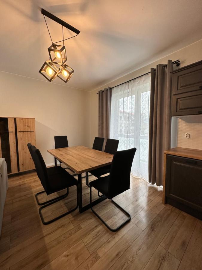 Homely Apartment Zielona Góra Dış mekan fotoğraf