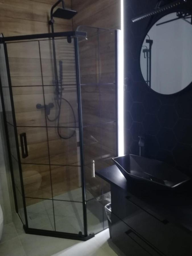 Homely Apartment Zielona Góra Dış mekan fotoğraf